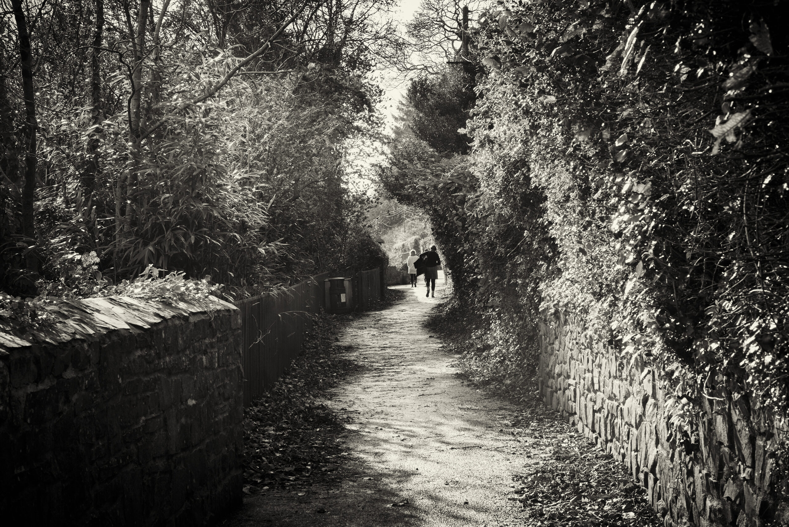 Laneway to the pub