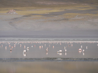 Laguna Grande Vulcan Galan